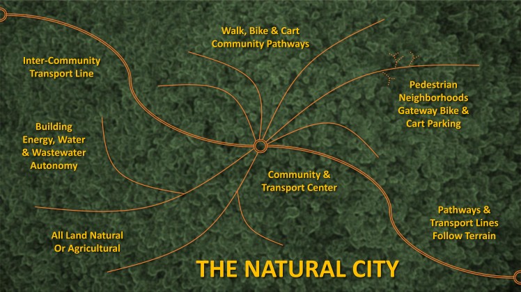 The Natural City Graphics-1